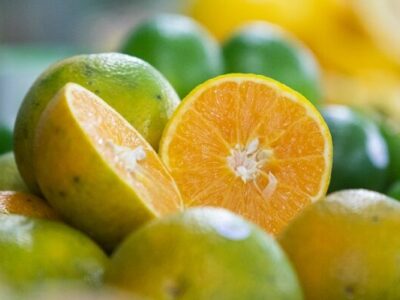 Estado de SP concentra 80% da produção nacional de laranja