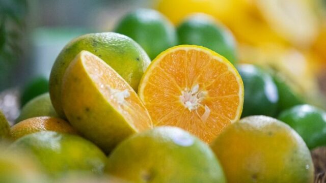 Estado de SP concentra 80% da produção nacional de laranja