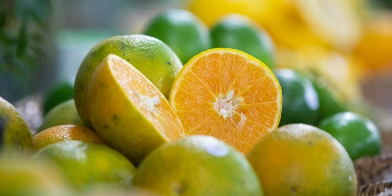 Estado de SP concentra 80% da produção nacional de laranja