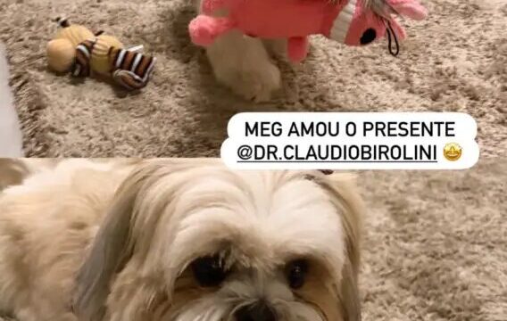 Michelle Bolsonaro posta foto em que aparece Jair Bolsonaro de tornozeleira