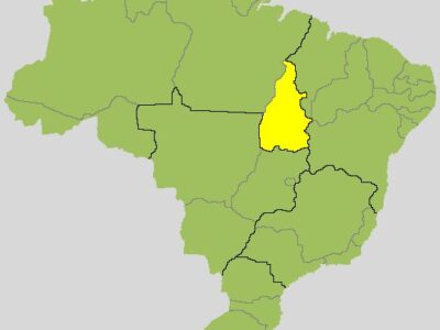 Professora Dorinha x Vicentinho Júnior: acompanhe o 2º turno para governador no Tocantins