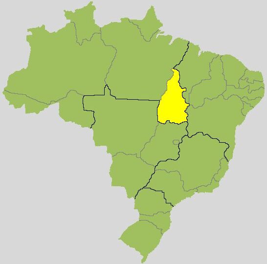 Professora Dorinha x Vicentinho Júnior: acompanhe o 2º turno para governador no Tocantins