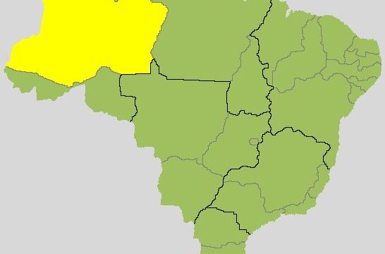 Quem está ganhando para governador no Amazonas? Veja a apuração do 2º turno