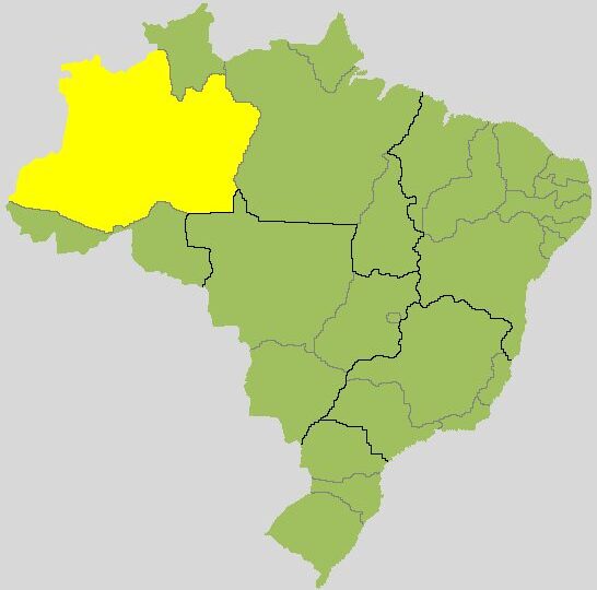 Quem está ganhando para governador no Amazonas? Veja a apuração do 2º turno
