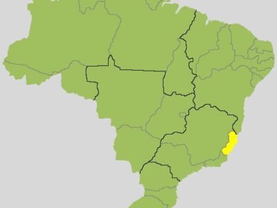Quem está ganhando para governador no Espírito Santo? Veja a apuração do 2º turno