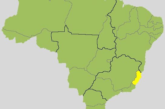 Resultado para governador no Espírito Santo: veja quem está na frente no 2º turno