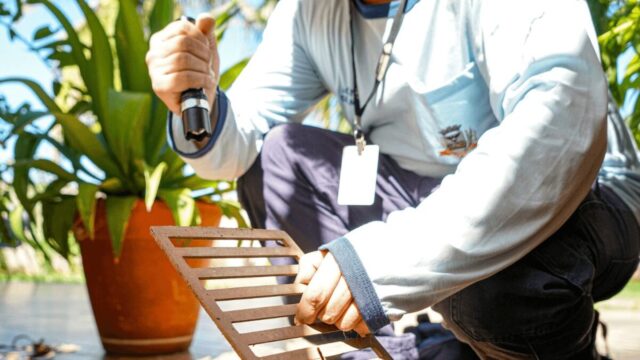 Rio Preto registra mais de 5,1 mil casos confirmados de dengue em 2026