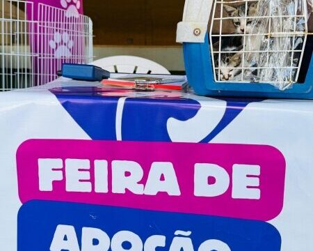 Votuporanga registra 65 adoções de cães e gatos em outubro