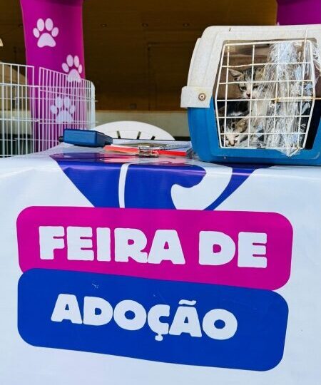Votuporanga registra 65 adoções de cães e gatos em outubro